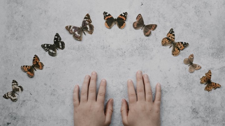 What to expect when your child starts ABA therapy for the first&nbsp;time