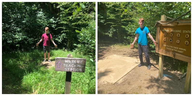 Eagle project ideas that have a conservation focus: Build a wildlife tracking station at your local park. | Photo (c) Kate Etue