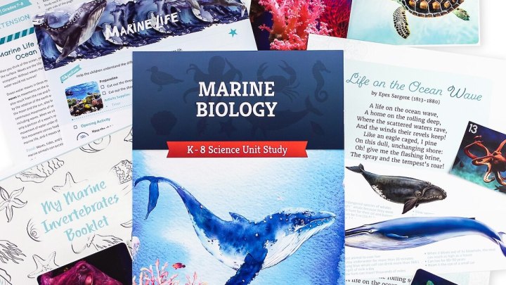 The Good and the Beautiful science curriculum: Is it rigorous&nbsp;enough?