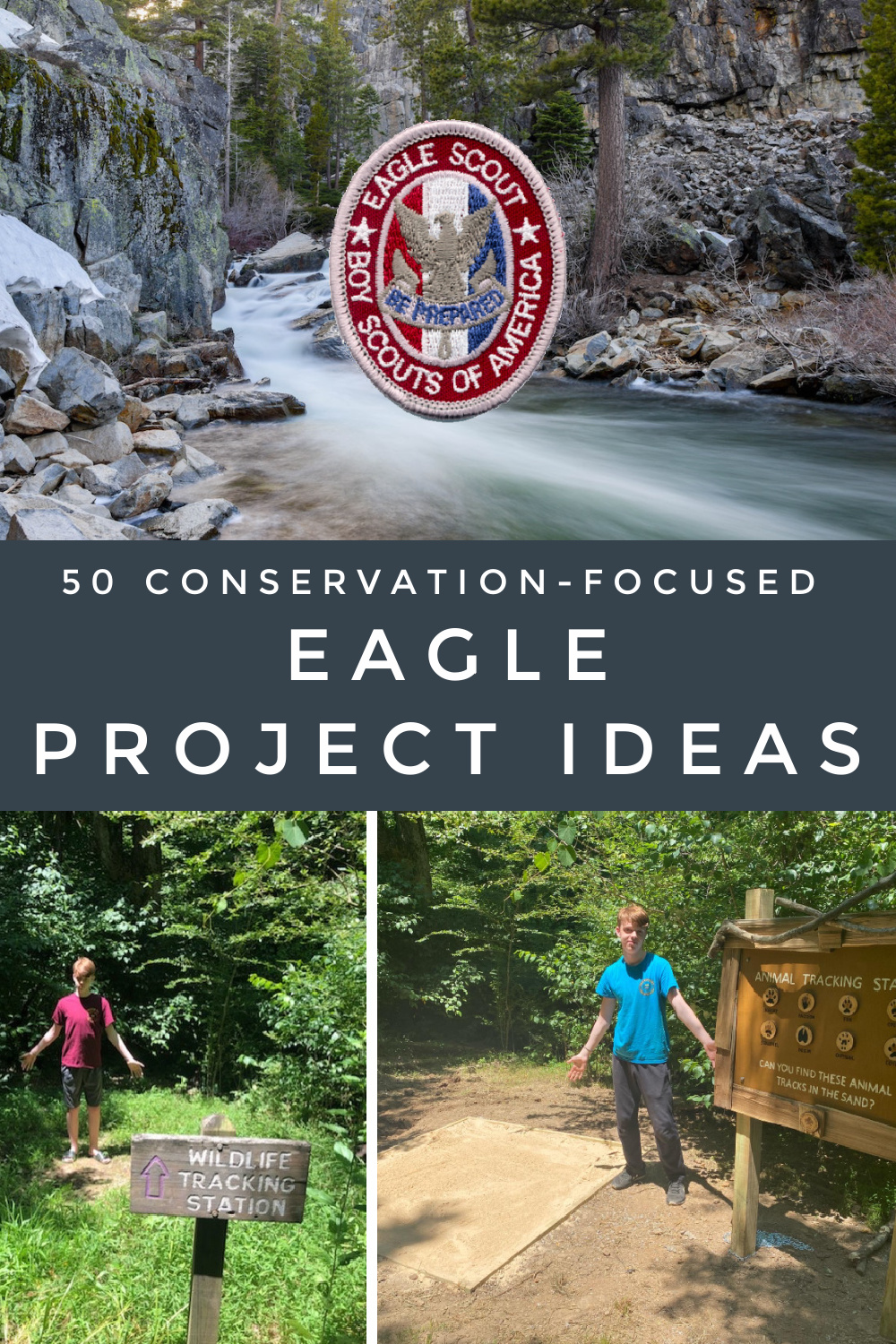 50 conservation-focused Eagle project ideas