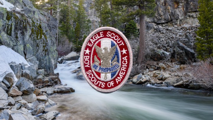 50+ Eagle project ideas that have a conservation&nbsp;focus