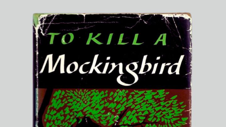 To Kill a Mockingbird: A free high school literature unit for&nbsp;homeschool